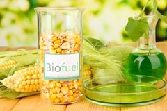 Prestwick biofuel availability